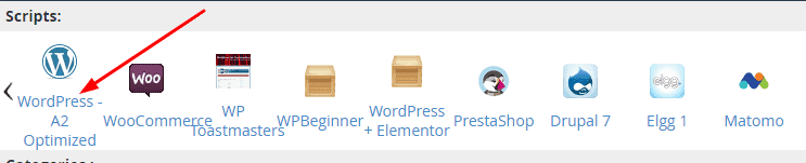 install wordpress 