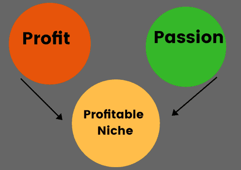 select a profitable niche