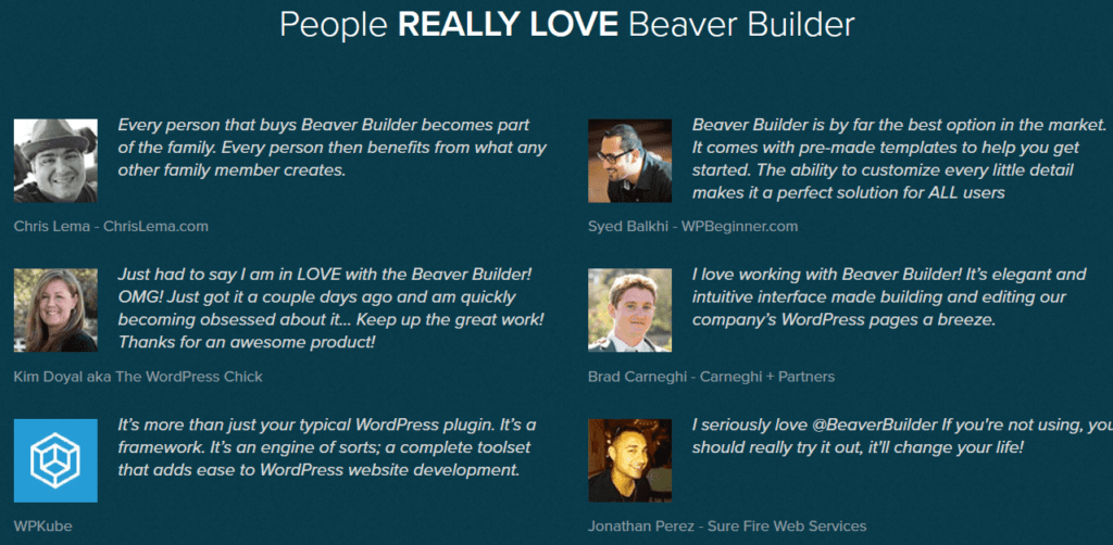 beaver builder reviews