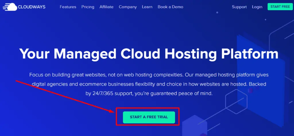 start cloudways hosting plan