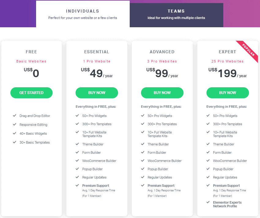 Elementor Pricing individuals