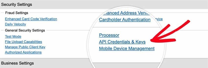 Open API Credentials
